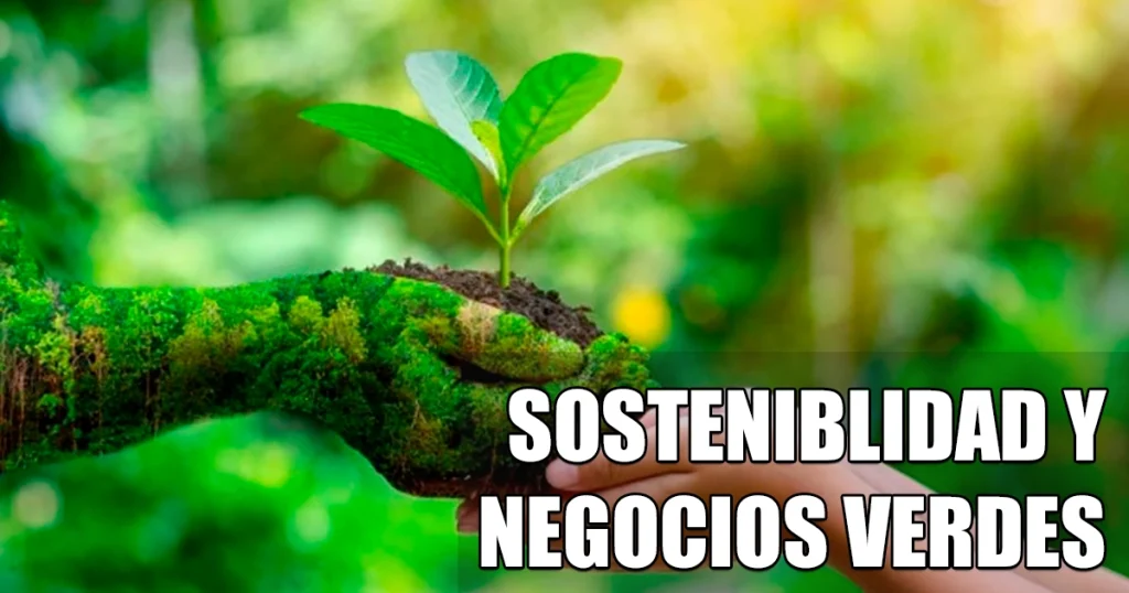Sostenibilidad y Negocios Verdes en Venezuela: Nuevas Oportunidades para Emprendedores
