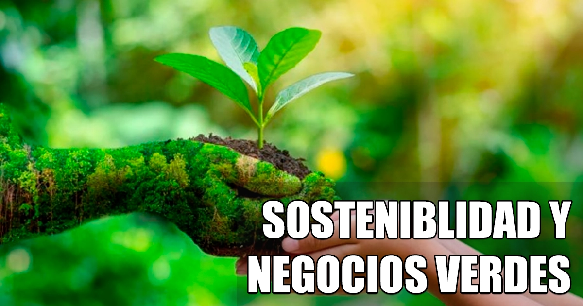 StatMark | Negocios Verdes en Venezuela